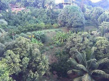 Villa Citronella Anse aux Pins