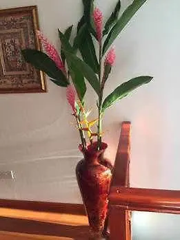 Villa Citronella Anse aux Pins 0*,  Seychelles