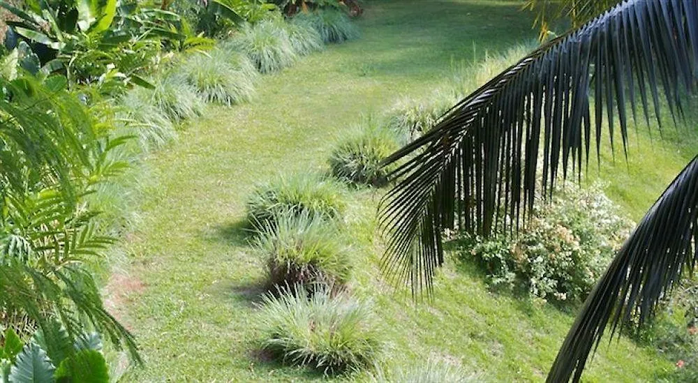 Anse aux Pins Villa Citronella