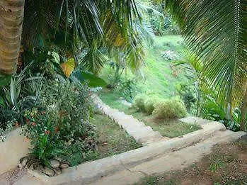 Anse aux Pins Villa Citronella