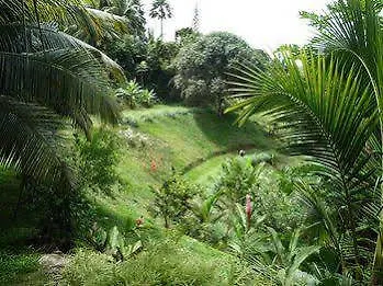 Anse aux Pins Villa Citronella 0*, Anse aux Pins